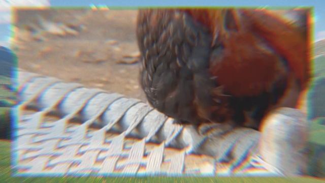 Детская песня. Хрюшка обижается. звериная мода смотреть онлайн