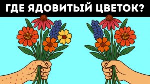 🧩 16 загадок, которые проверят твою внимательность 👀