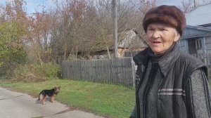 Тётя Валя и звериные проказы