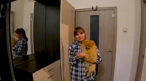 ПОКАЗЫВАЕМ РЕЗУЛЬТАТ РЕМОНТА: НОВЫЙ ДИВАН И СТИЛЬНАЯ ПРИХОЖАЯ. ИЗ ГОРОДА В ДЕРЕВНЮ 861 серия