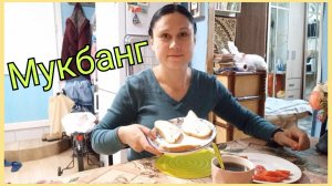 Мукбанг. Про школу, про пикник, про вязание и книги