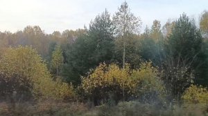 ДОРОГИ, ДОРОГИ, ДОРОГИ, КУДА ВЫ СПЕШИТЕ, КУДА?