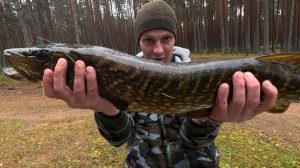 ДЖИГ-ДРЫГ. РЫБАЛКА НА СПИННИНГ, ЛОВЛЯ ЩУКИ НА СИЛИКОН.