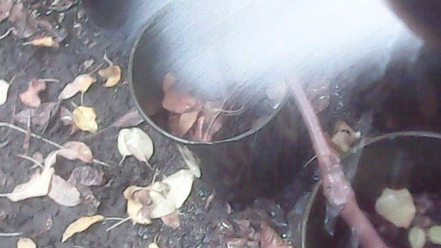 Полив саженцев ЗКС