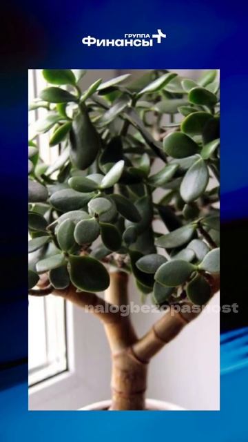 Запасаемся🤣