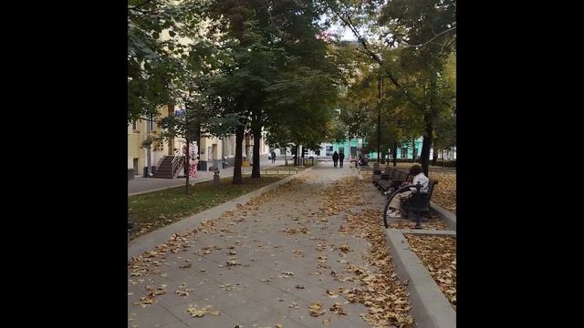 Осень в деталях