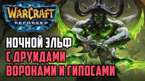 Ночной Эльф с Друидами Воронами и Гиппосами: Colorful (Ne) vs Fortitude (Hum) Warcraft 3 Reforged