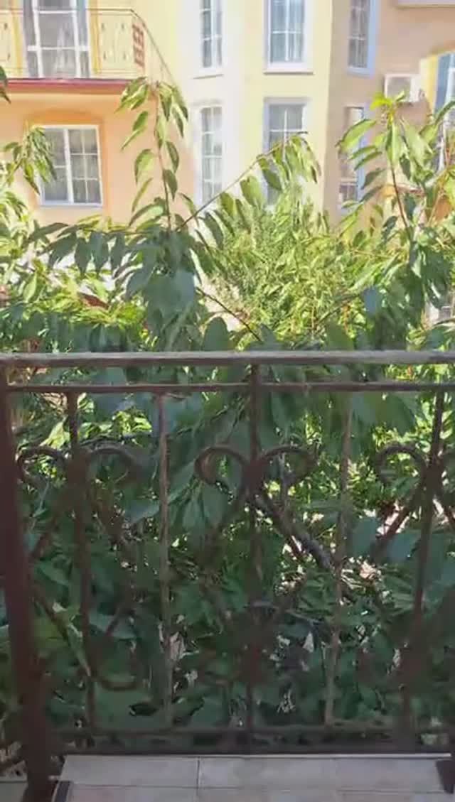 Продается Дом в Анапе смотреть онлайн