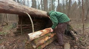 Строительство хижины посреди леса из корней и палок. #бушкрафт