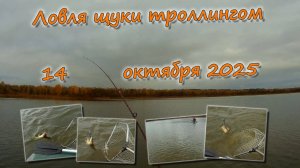 Ловля щуки троллингом 14 октября 2025