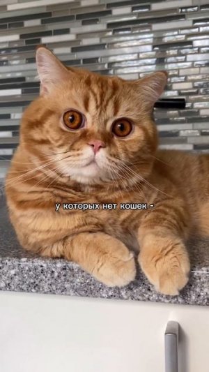 318169800_595375126144694_8951278552970597940_n