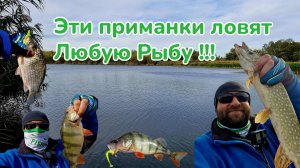 Эти Приманки Ловят Любую Рыбу / Рыбалка на Чудесном Осеннем Озере / Щука на Ультралайт / Fishmir