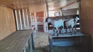 Ждем урожай. Муж молодчина!!