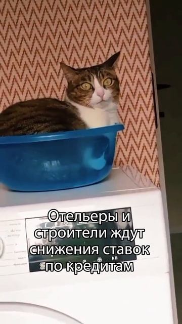 А вы какую ставку ждёте?#shorts