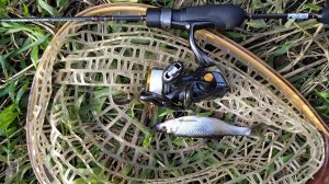 Десна. Мормышинг 14 сентября 2025 года