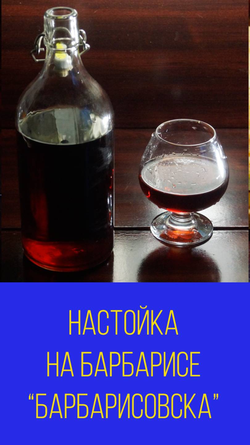 Настойка из барбариса или Барбарисовка Мальковский Вадим смотреть онлайн