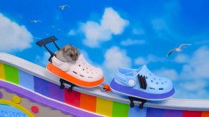 🐹Хомячки проходят полосу препятствий🔥