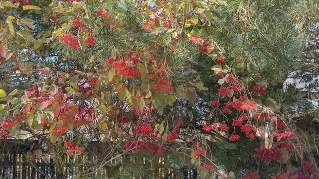 Разве я не классная? смотреть онлайн