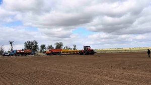 Озимая пшеница 2026. Поехали!