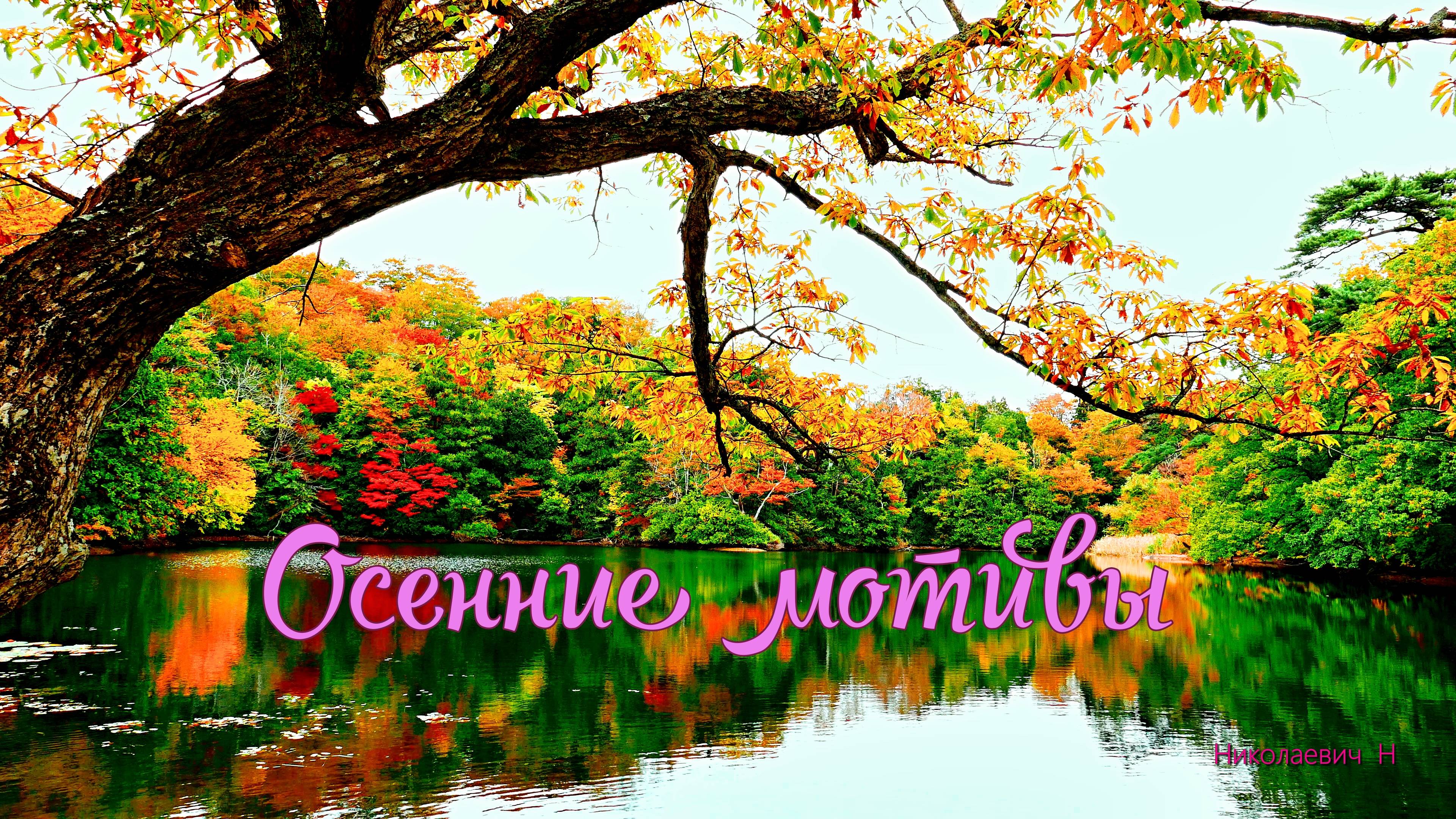 Осенние мотивы