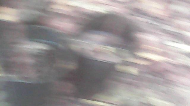 Полив саженцев ЗКС