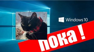 Прощаемся с Windows 10 и Котейкой !