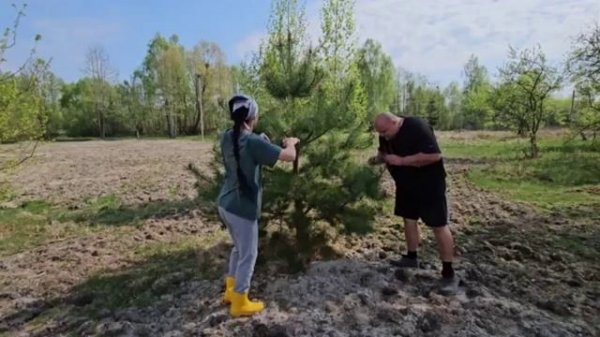 ДОМ ДЛЯ ПТИЦ ГОТОВ! СТРОЙКА ПРОДОЛЖАЕТСЯ!