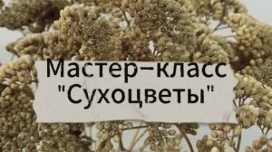 Сухоцветы. Обработка. Хранение