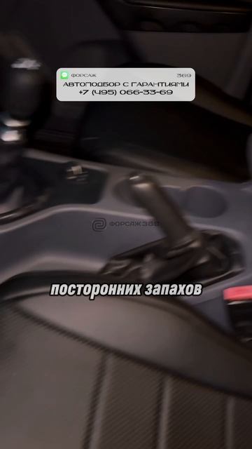 ОСМОТР FORD RANGER - БЕРЕМ?! #автоподбор #привозавто #автоприколы #автоновости #автоюмор смотреть онлайн