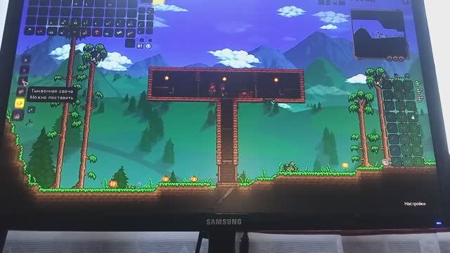 Terraria  №3