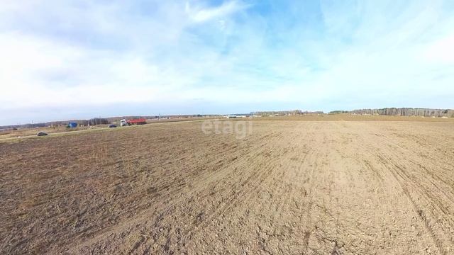 10038349 смотреть онлайн