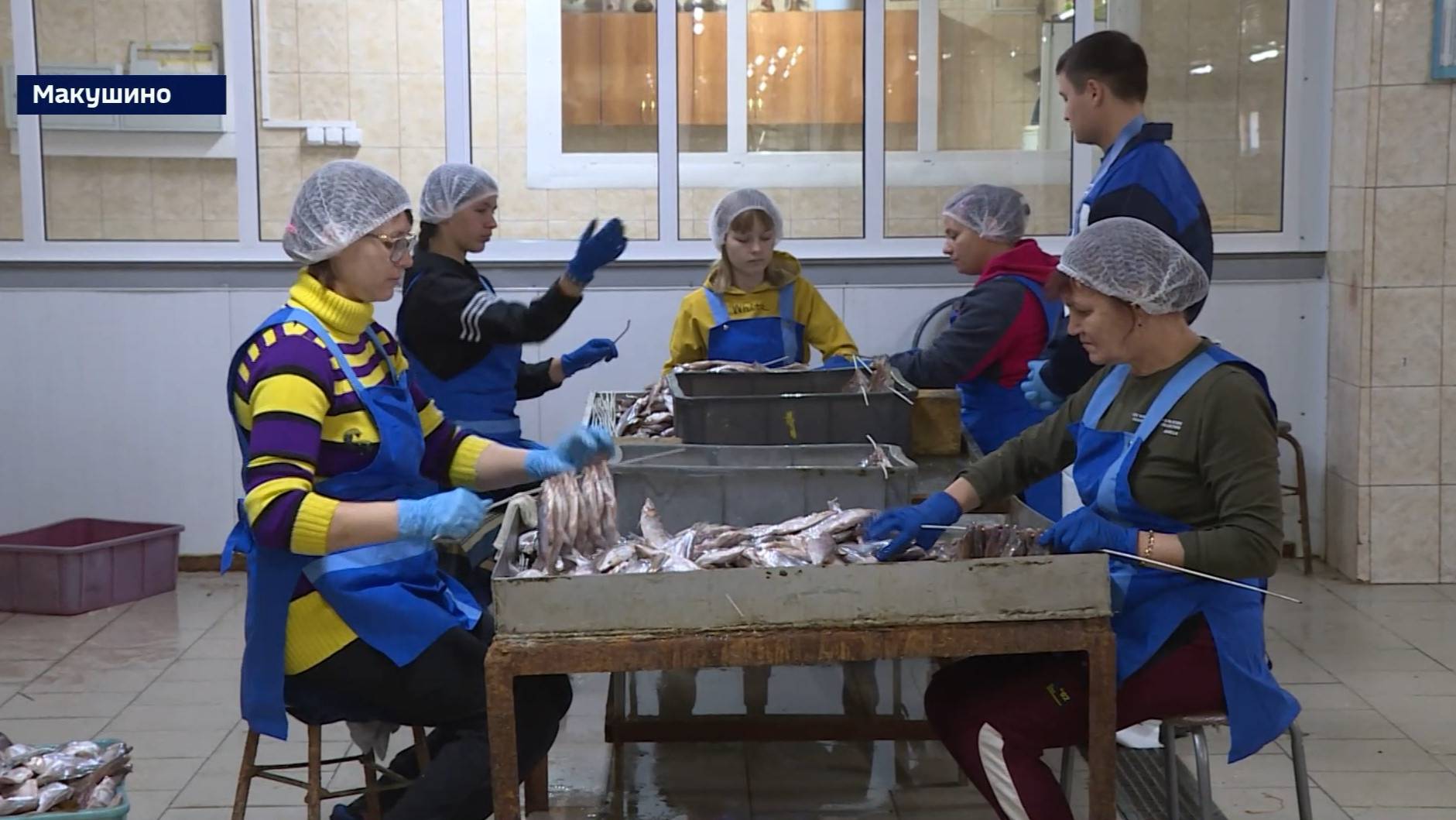 В Макушинском округе рыбопромышленники приступили к обработке улова смотреть онлайн