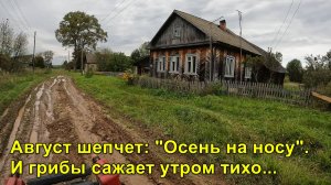Август шепчет: «Осень на носу» и грибы сажает утром тихо.