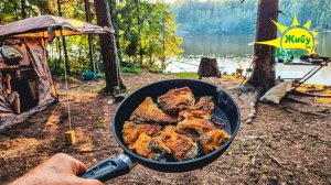 5 Дней в Лесу. Дикая природа. Рыбалка на донки и спиннинг