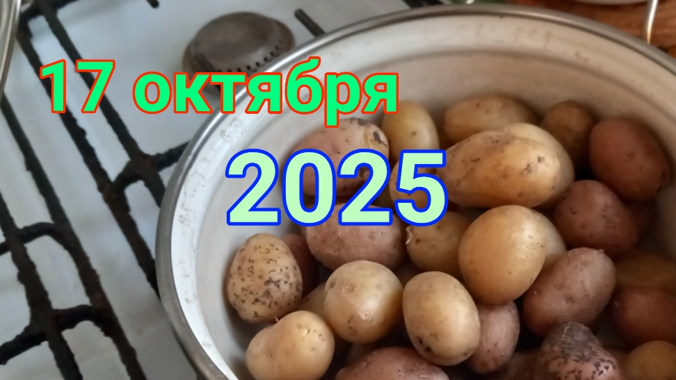 17 октября 2025. Завтрак в октябре. смотреть онлайн