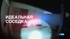 Фильм Идеальная соседка / The Perfect Neighbor