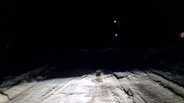 Уличный тест Aozoom K7 без синевы на другую камеру.