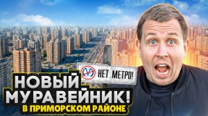 Новый МУРАВЕЙНИК в Приморском районе СПб - в лесу и без метро / ЖК Окла и ЖК Бионика