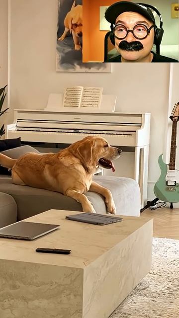 Когда очень хочется полежать на диване смотреть онлайн