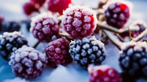 СП «Носки из одной расцветки.» Октябрь. «Ягоды в снегу»