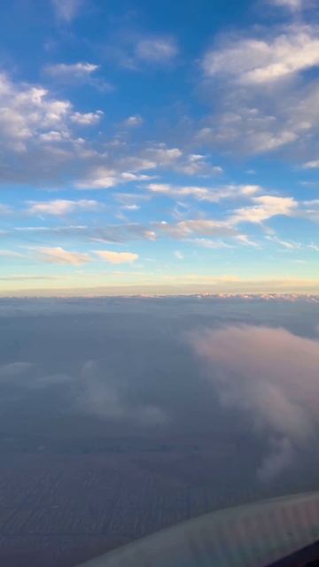 Навстречу жизни