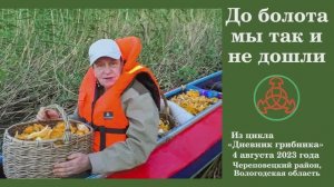 До болота мы так и не дошли!  Дневник грибника 4 августа 2023 года.