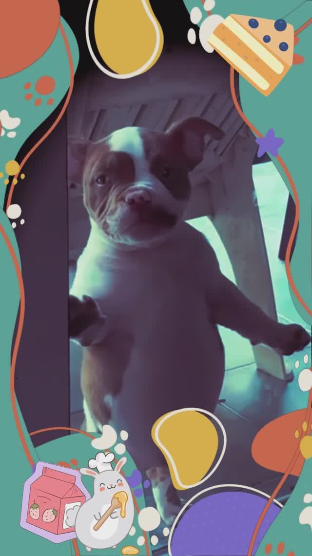 музыка видео юмор винни пух смотреть онлайн