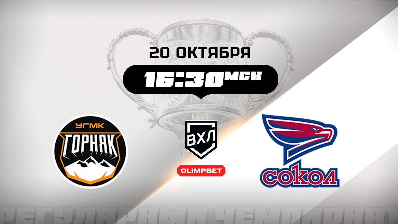 Горняк-УГМК (Верхняя Пышма) - Сокол (Красноярск)