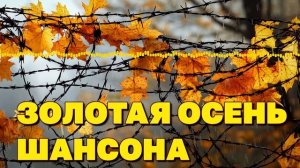 Золотая осень шансона - Хиты осени 2025 - Новое и лучшее @rushanson #шансон #бутырка #топ