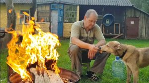 Хутор Замошье , КАРТОШКА , ТЕХНОЛОГИИ И ПОМИДОРЫ - ОТ ПЛУГА ДО РЕАКТОРА