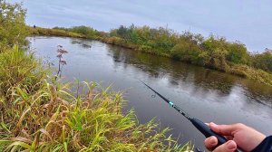 ЭТО РЫБАЛКА МЕЧТЫ! НЕТРОНУТАЯ РЕКА И МОРЕ РЫБЫ ПОД НОГАМИ. КАМЧАТКА УДИВЛЯЕТ