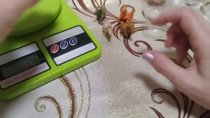 Kinder Surprise Natoons Динозаврики (3 выпуск)// На сколько нам повезет?