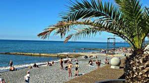 ✅️🌴17 ОКТЯБРЯ В АДЛЕРЕ:+20° ТЕПЛА, МОРЕ +20°, ПО ДЕМОКРАТИЧЕСКОЙ К МОРЮ,БАРХАТНЫЙ СЕЗОН В РАЗГАРЕ