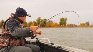 РЫБАЛКА ОСЕНЬЮ. ВЕТРА, ДОЖДИ, но РЫБА КЛЮЁТ. Осенняя рыбалка на нижней Волге.